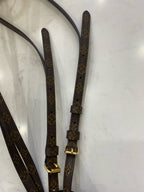 Louis Vuitton Backpack