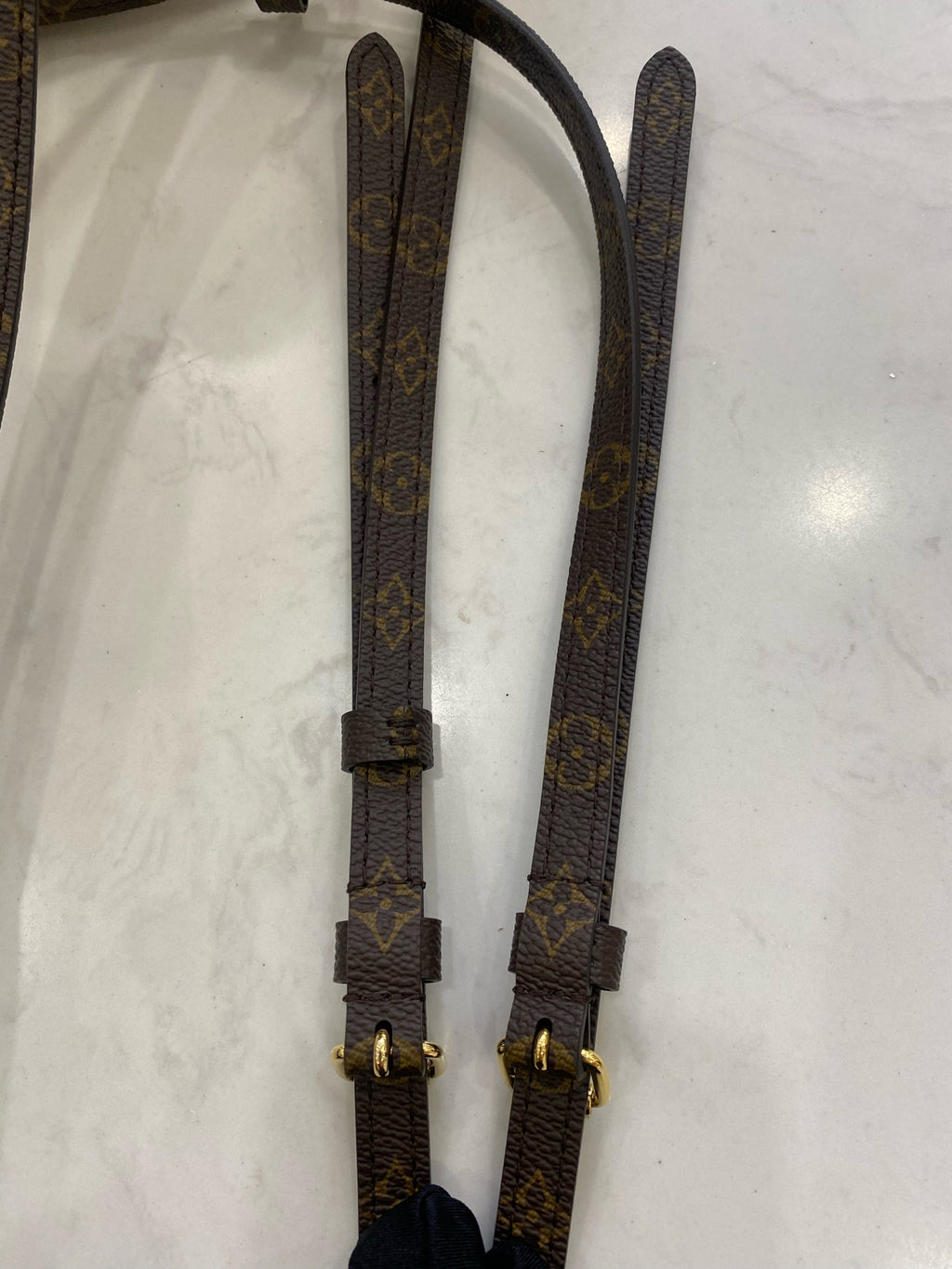 Louis Vuitton Backpack