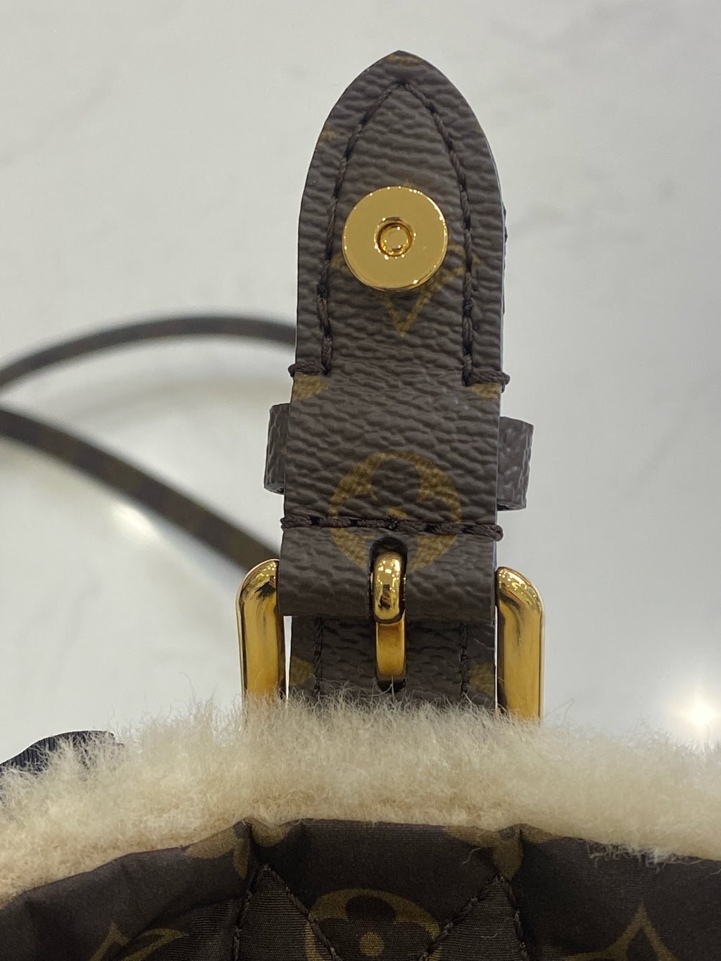 Louis Vuitton Backpack