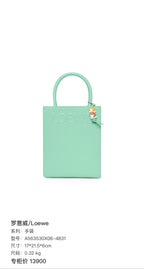 Loewe Handbag Tote A563S30X08-4831