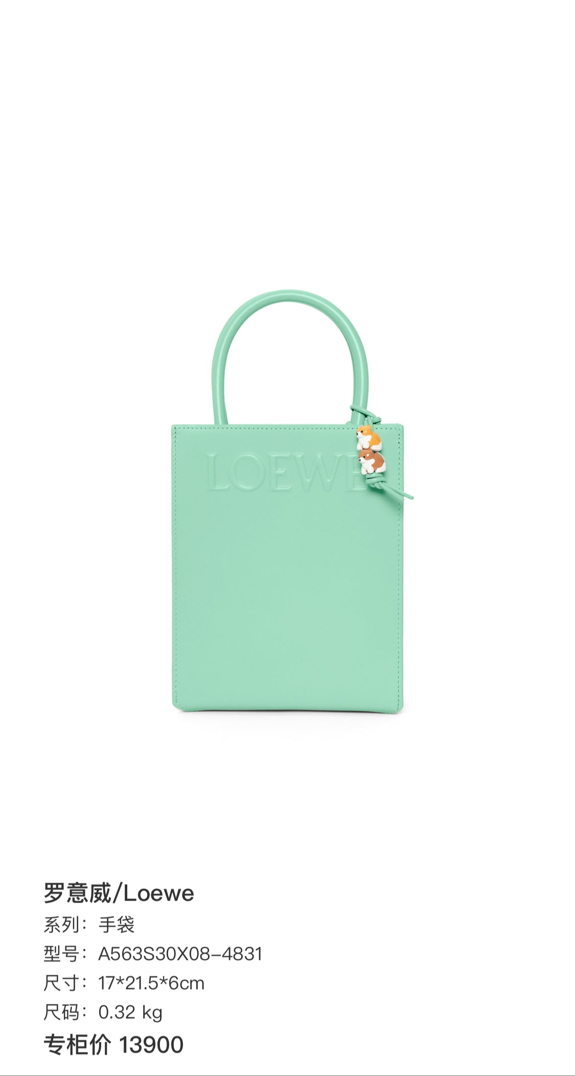 Loewe Handbag Tote A563S30X08-4831