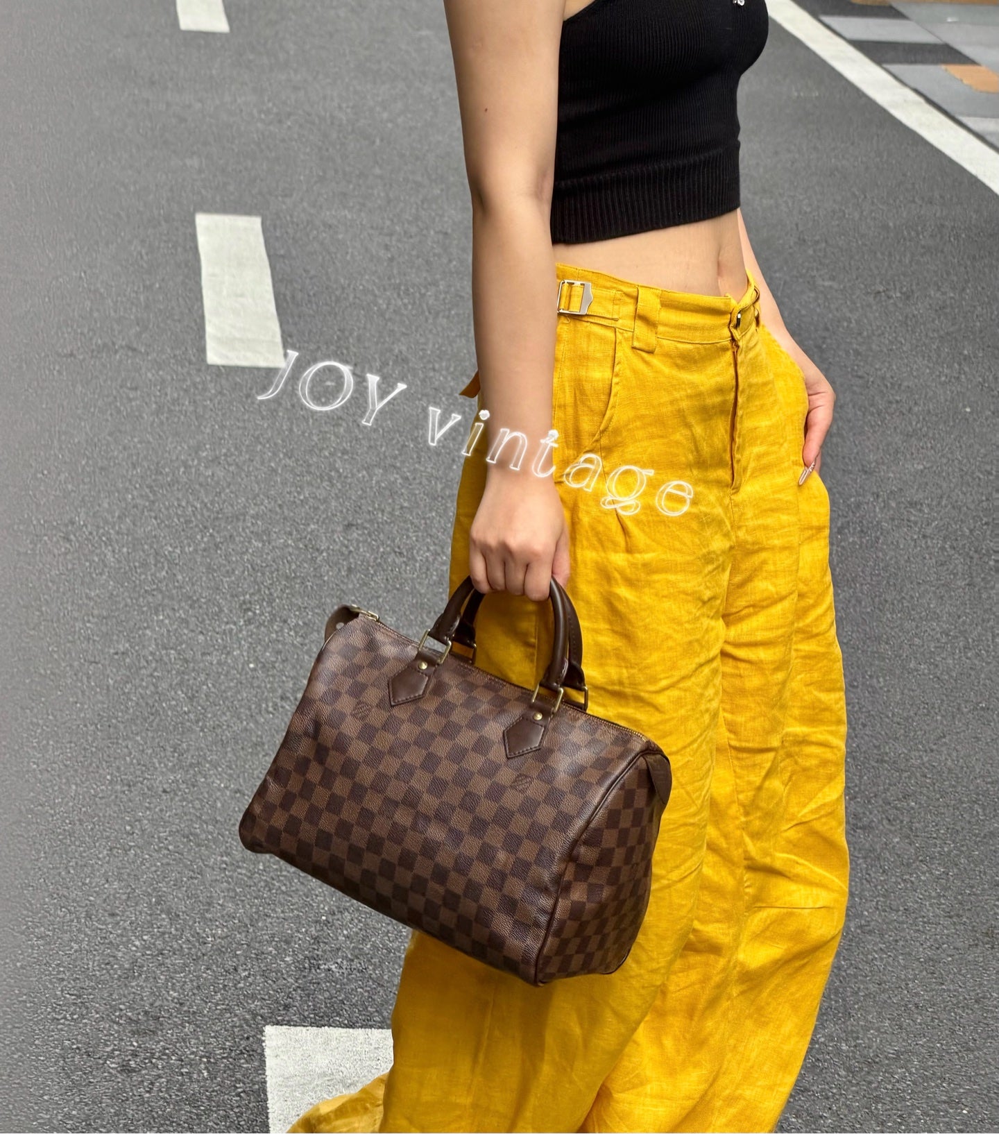 Louis Vuitton Speedy 30 Brown 30.0x 21.0x 17.0 cm N41364