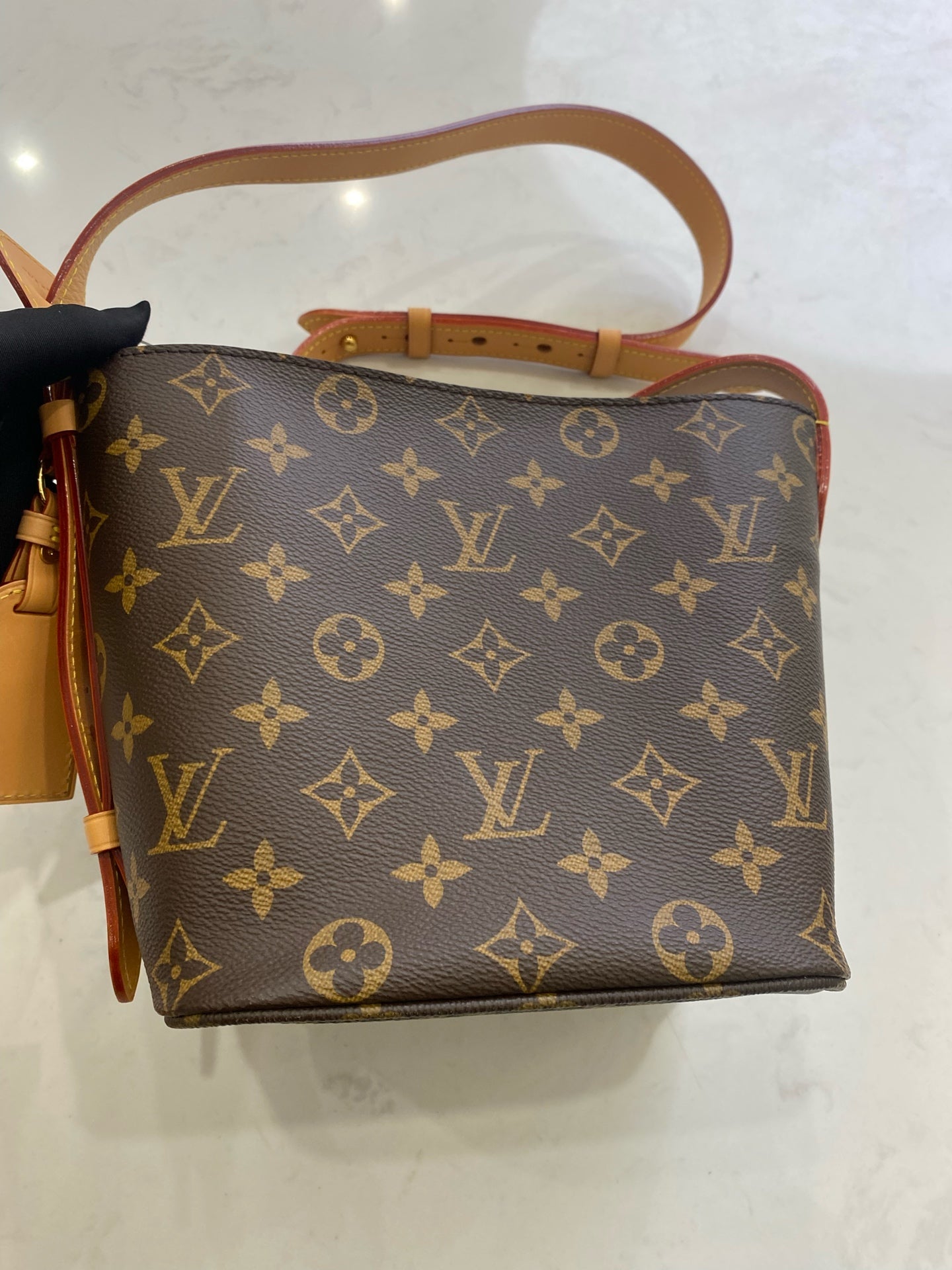 Louis Vuitton Bucket & Drawstring Bag