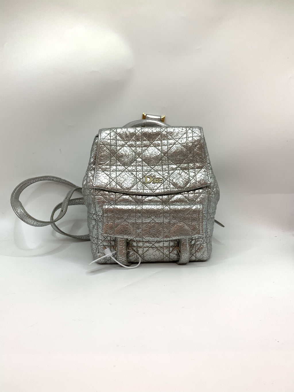 Dior Silver Backpack
