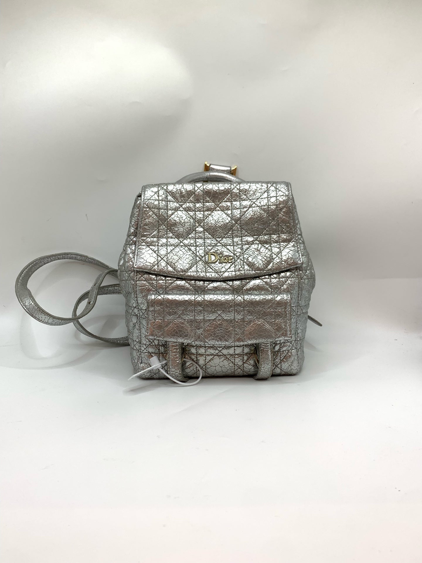 Dior Silver Backpack