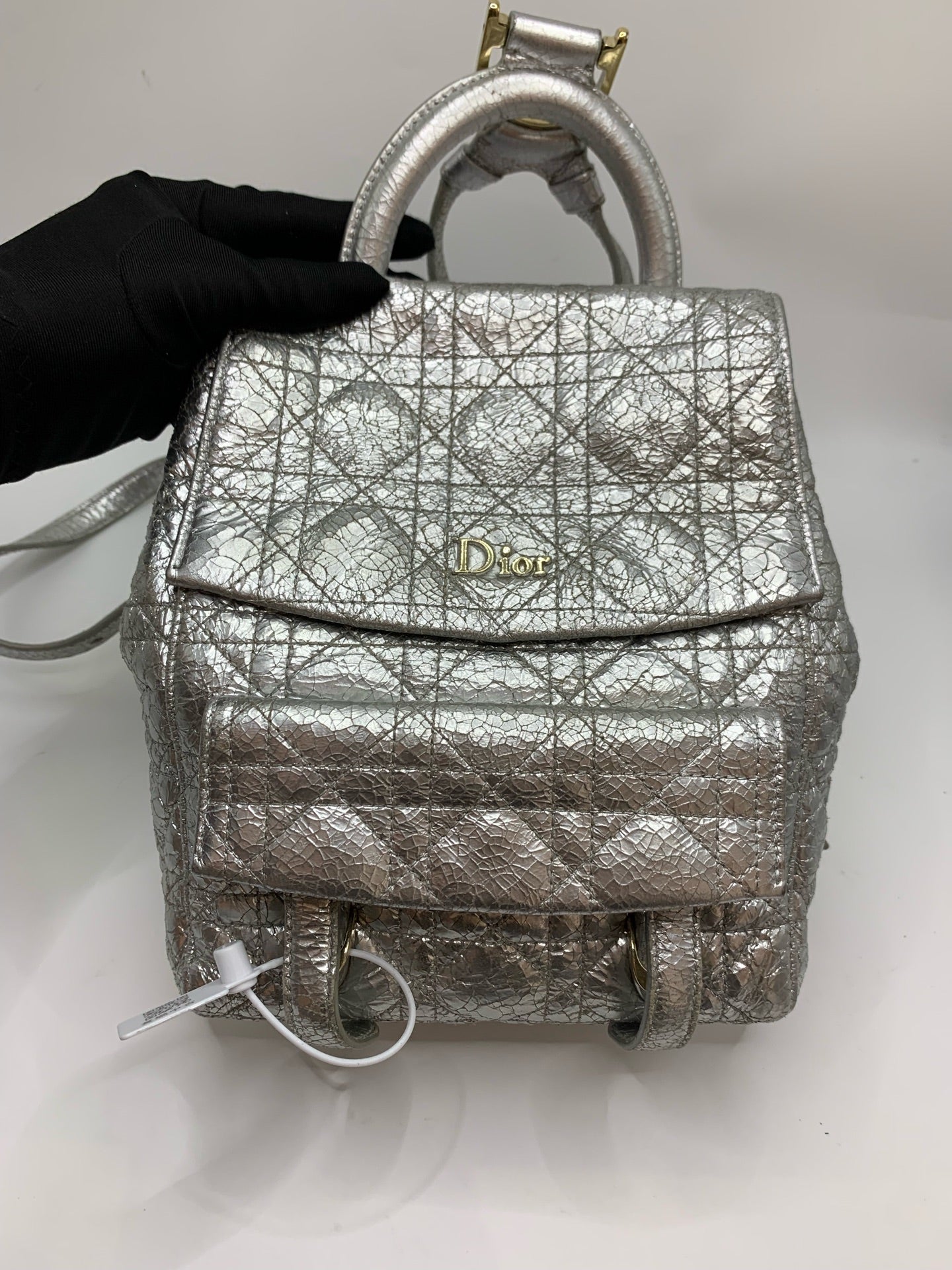 Dior Silver Backpack
