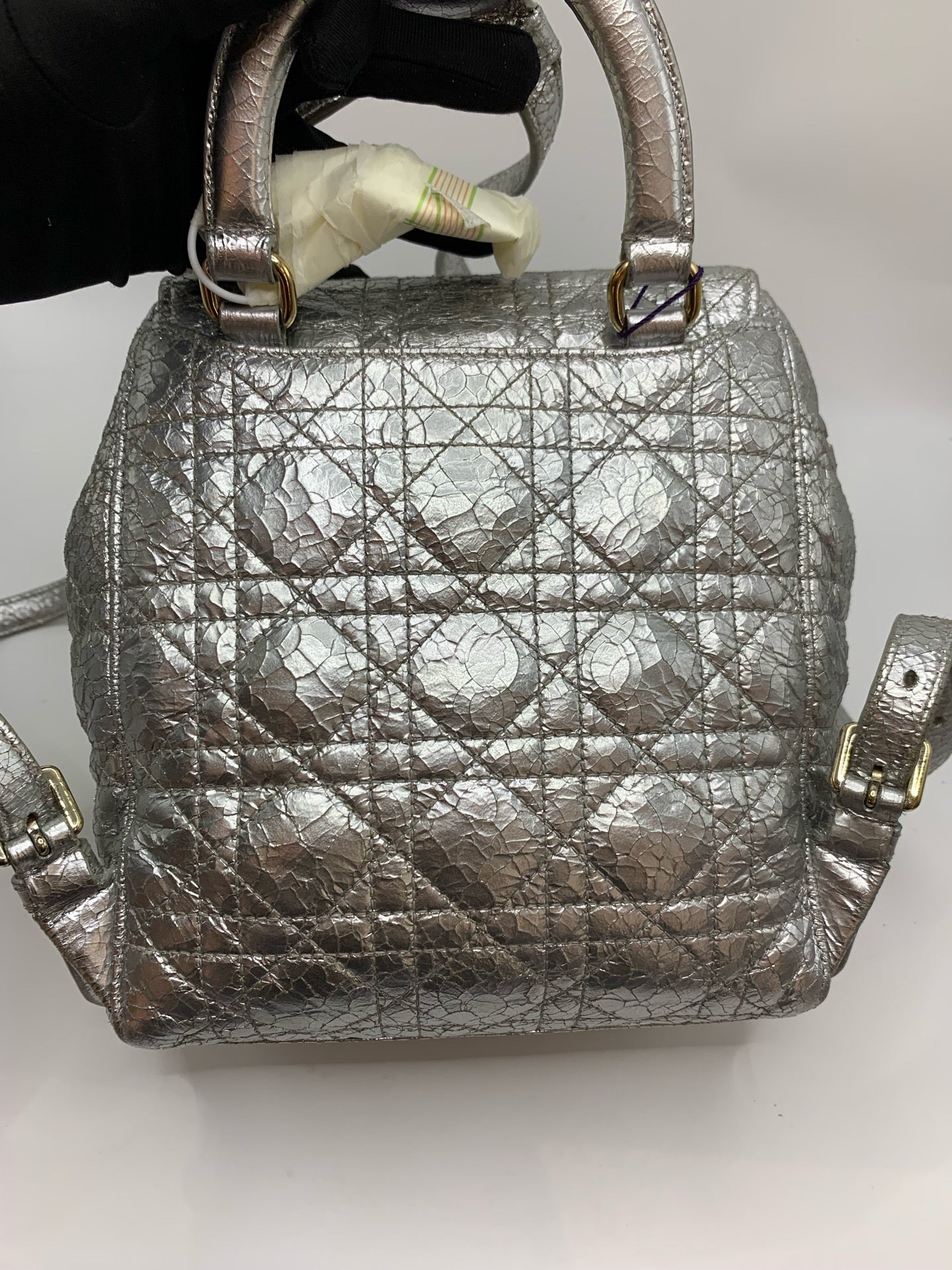 Dior Silver Backpack
