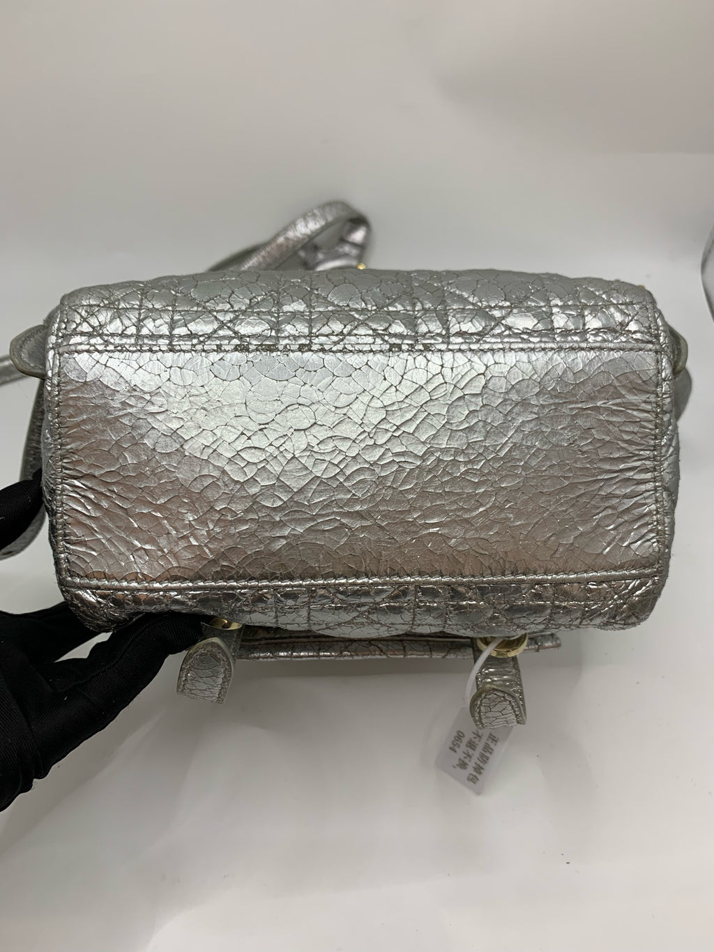 Dior Silver Backpack