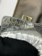 Dior Silver Backpack