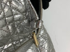 Dior Silver Backpack
