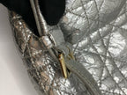 Dior Silver Backpack