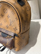 Louis Vuitton Backpack