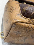 Louis Vuitton Backpack