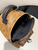 Louis Vuitton Backpack