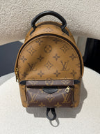 Louis Vuitton Backpack