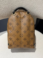 Louis Vuitton Backpack