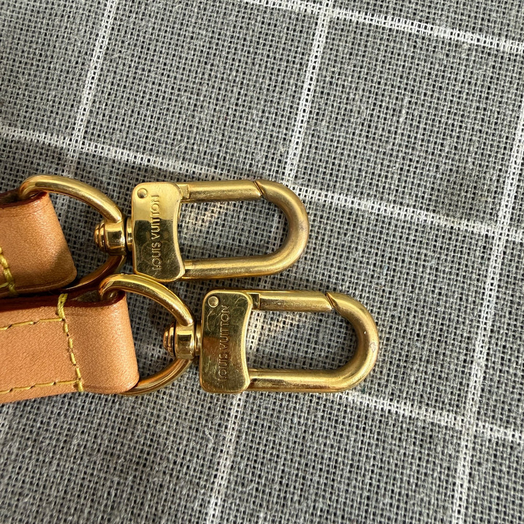 Louis Vuitton N41579