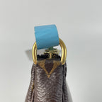 Louis Vuitton Clutch