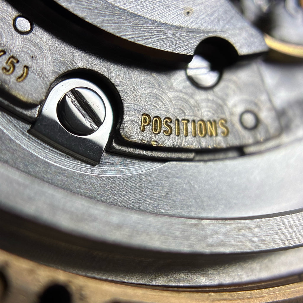 IWC Portofino Collection 40 millimeters IW356504