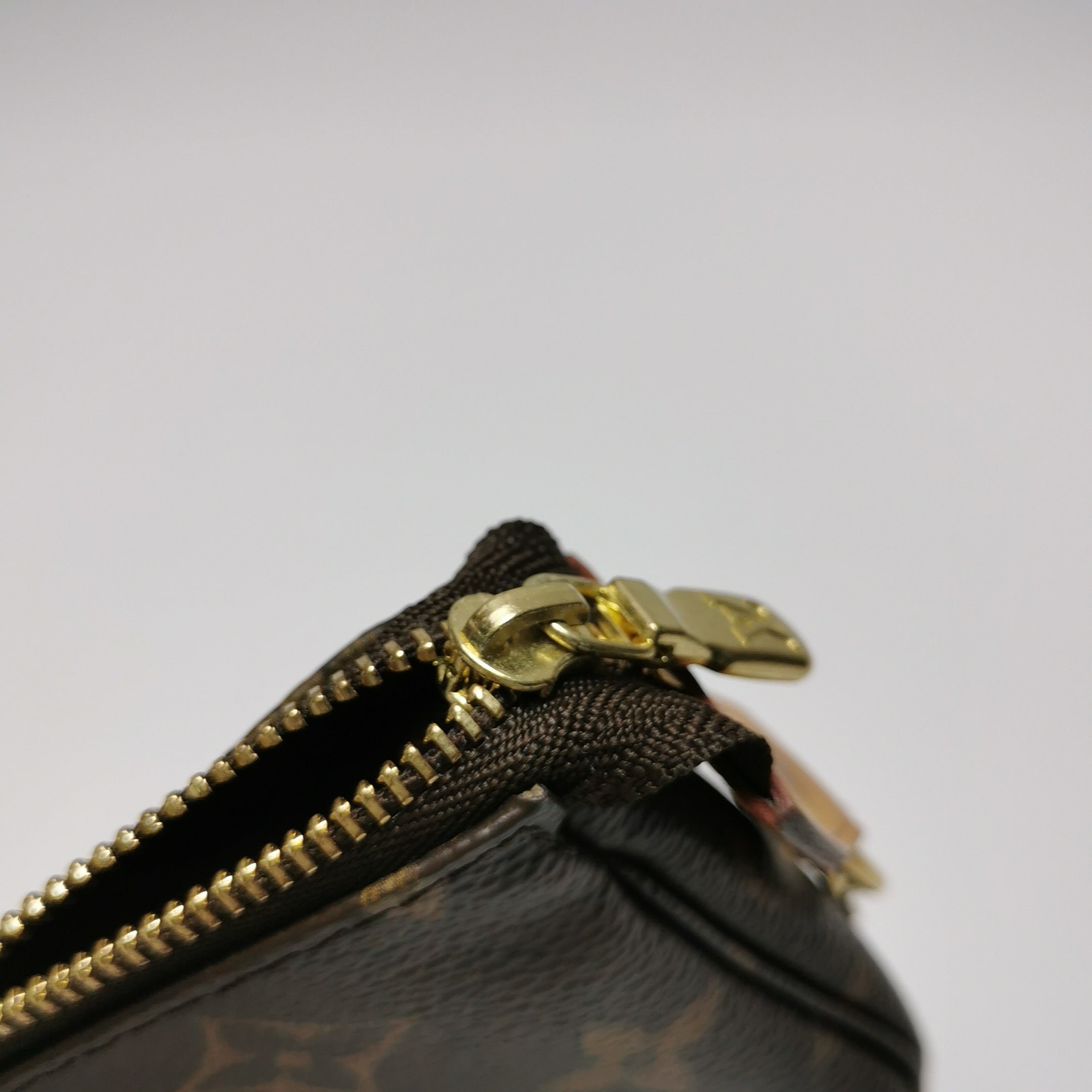 Louis Vuitton Mini Pochette Accessories M58009