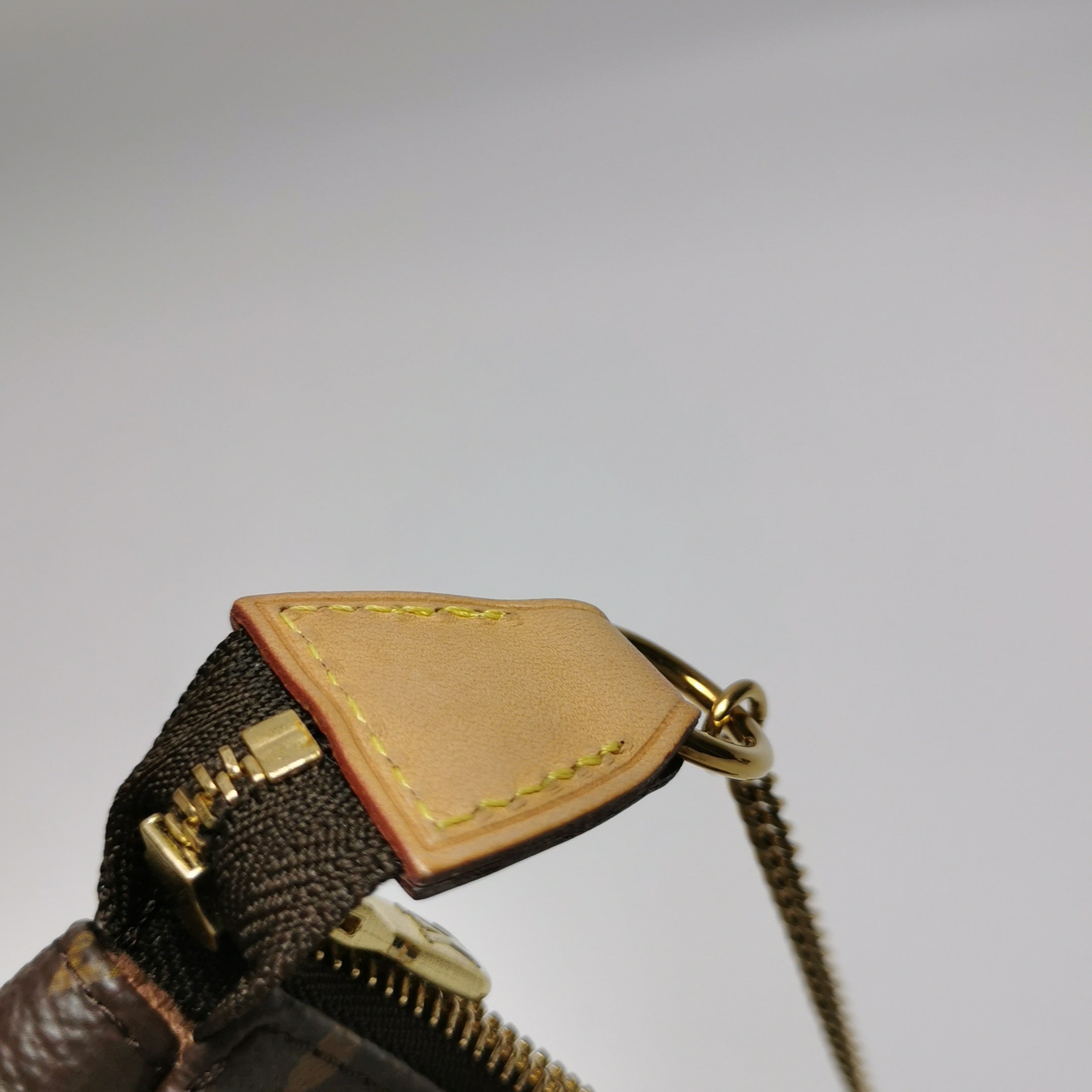 Louis Vuitton Mini Pochette Accessories M58009