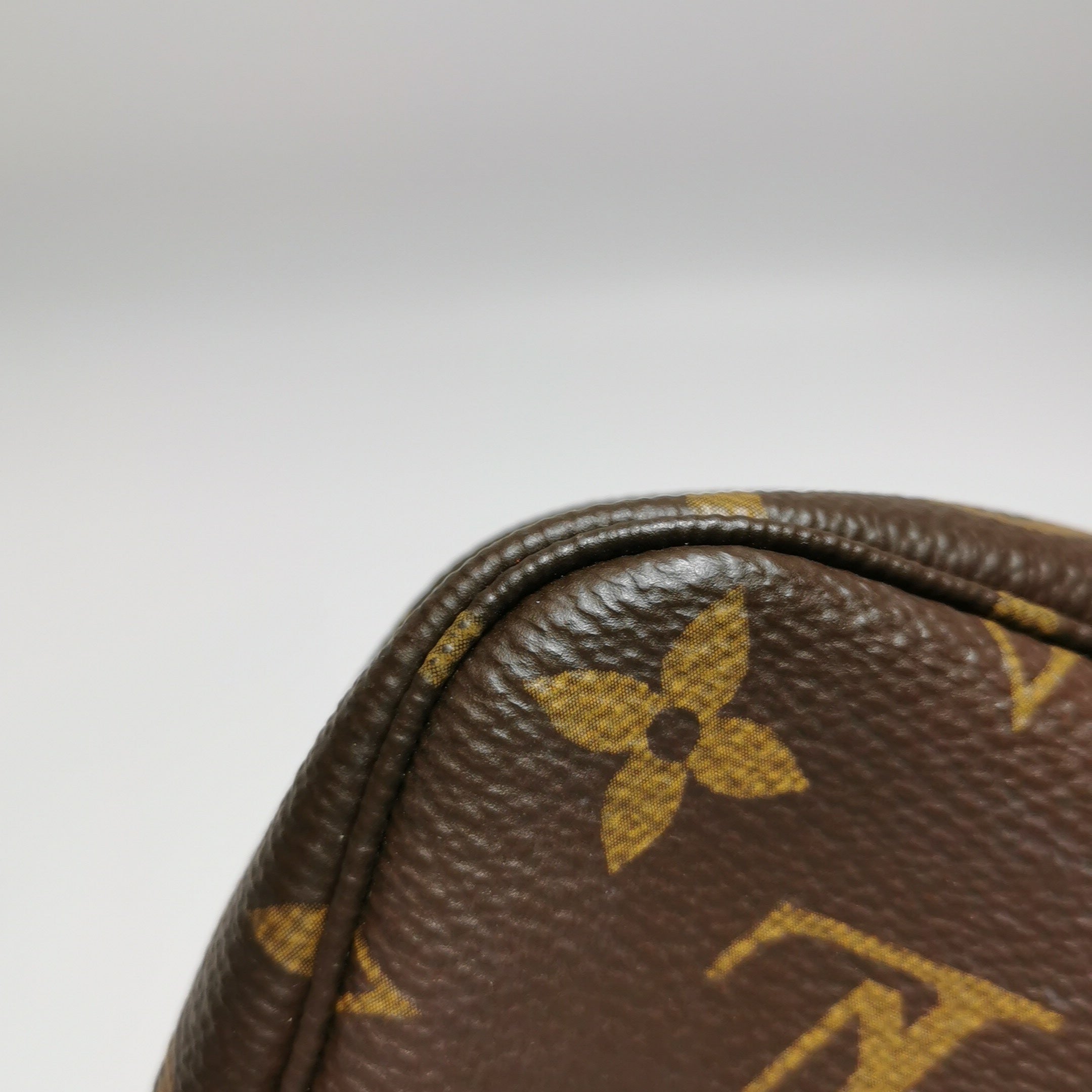 Louis Vuitton Mini Pochette Accessories M58009
