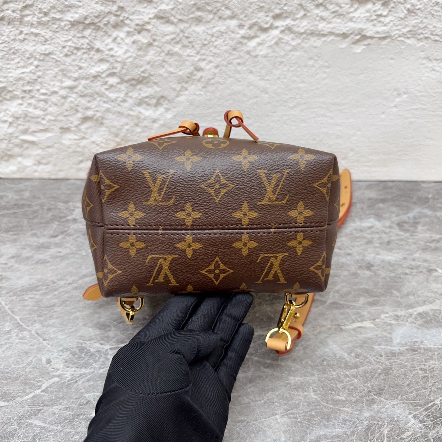 Louis Vuitton Backpack