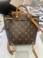 Louis Vuitton Backpack