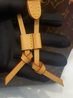 Louis Vuitton Backpack