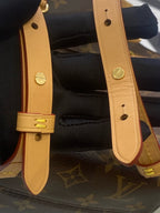Louis Vuitton Backpack