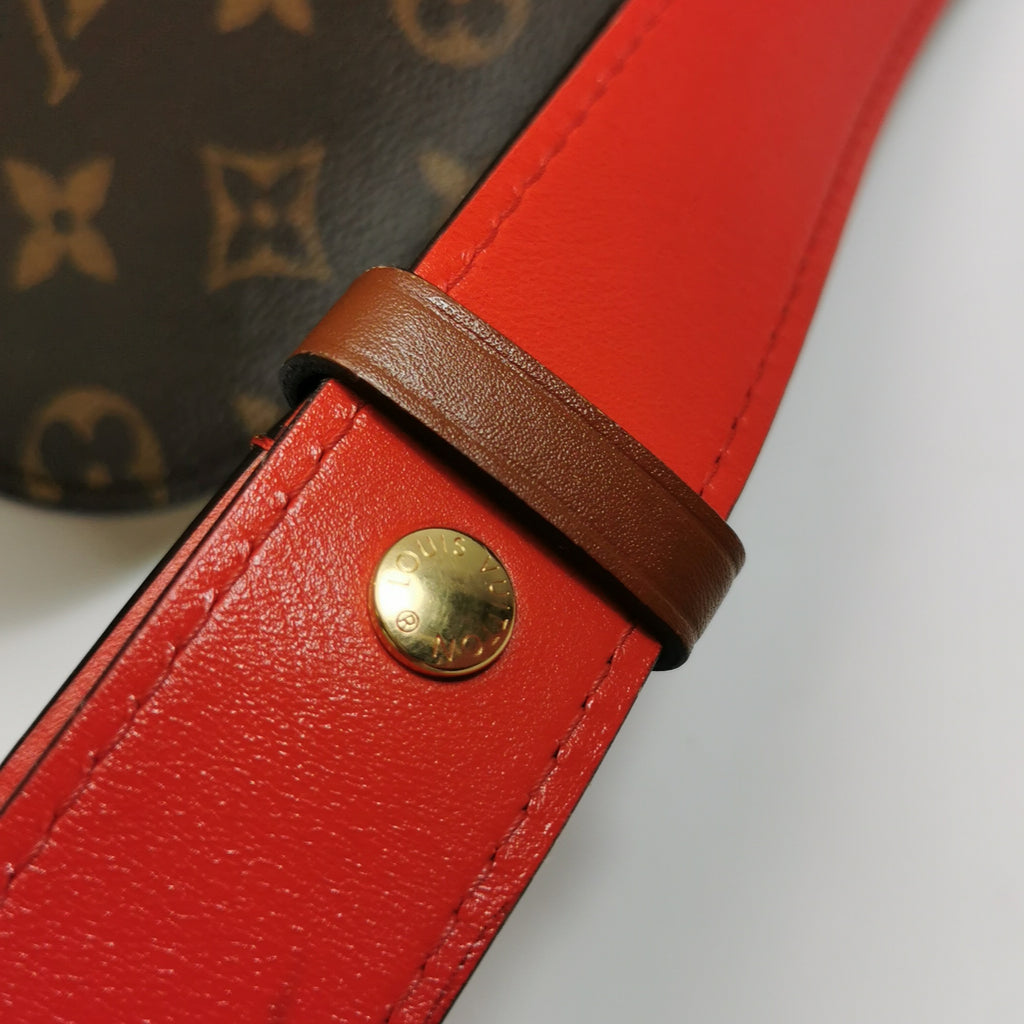 Louis Vuitton Other Crossbody M44353