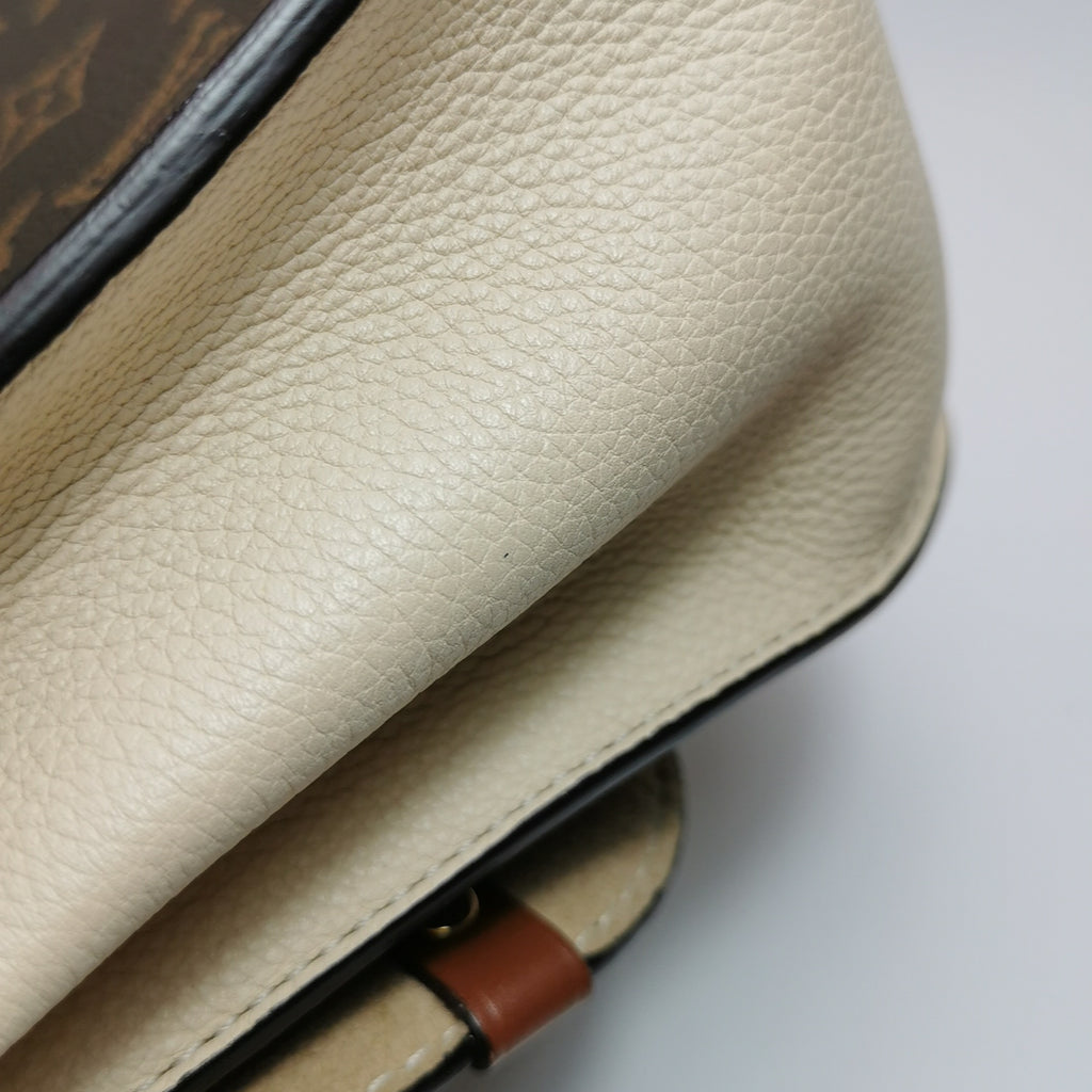Louis Vuitton Other Crossbody M44353