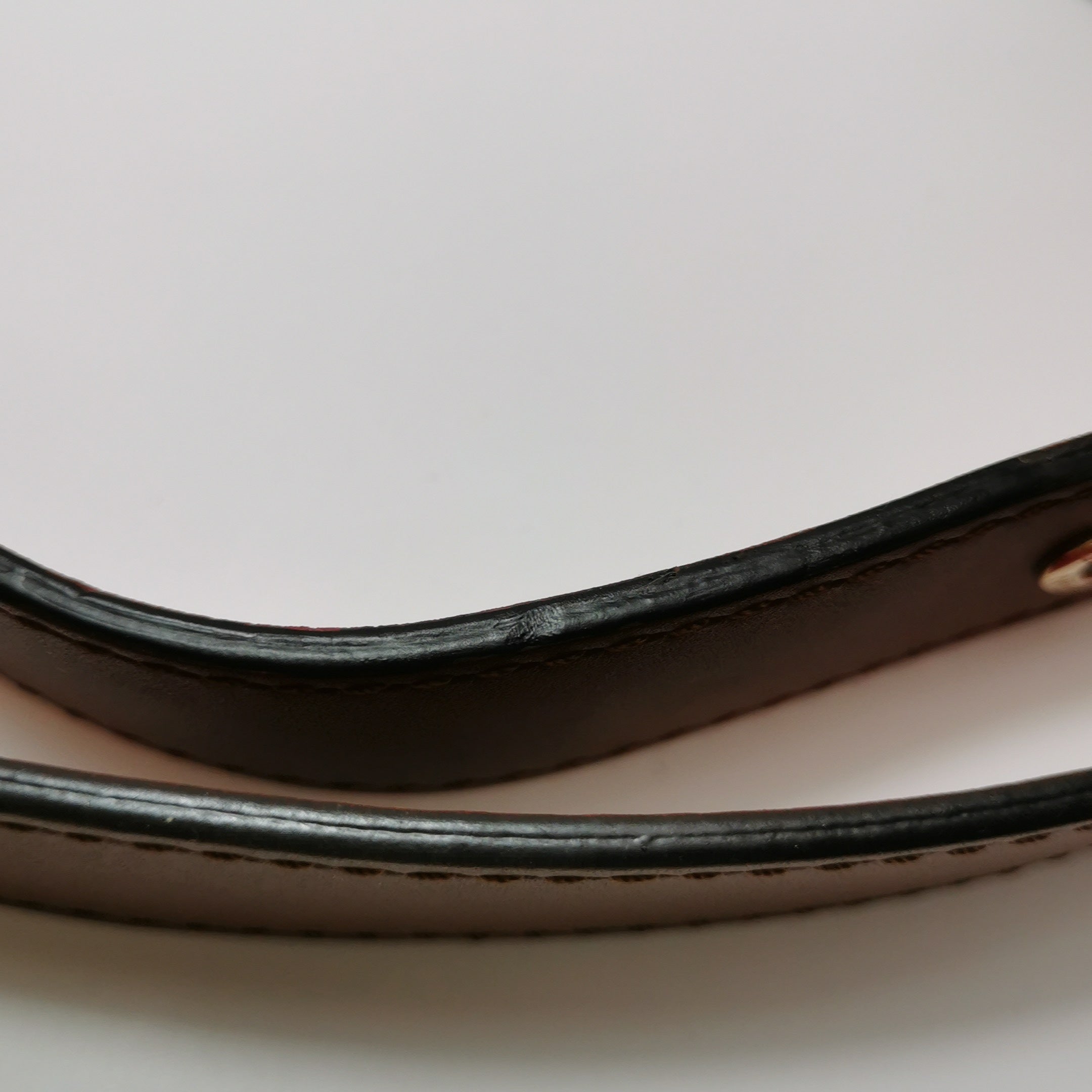 Louis Vuitton Other Crossbody M44353