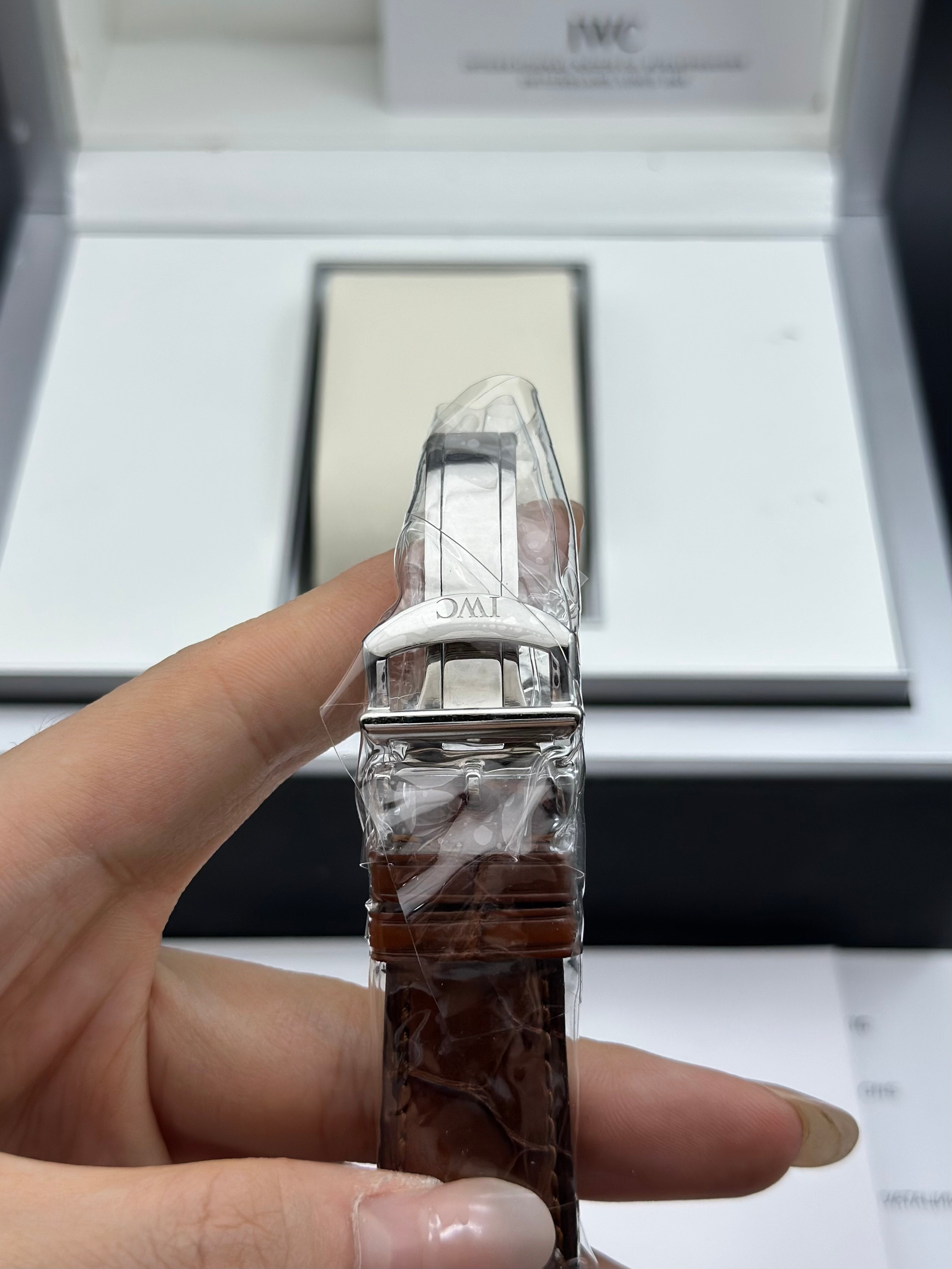 IWC Silver