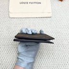 Louis Vuitton Canvas Brown