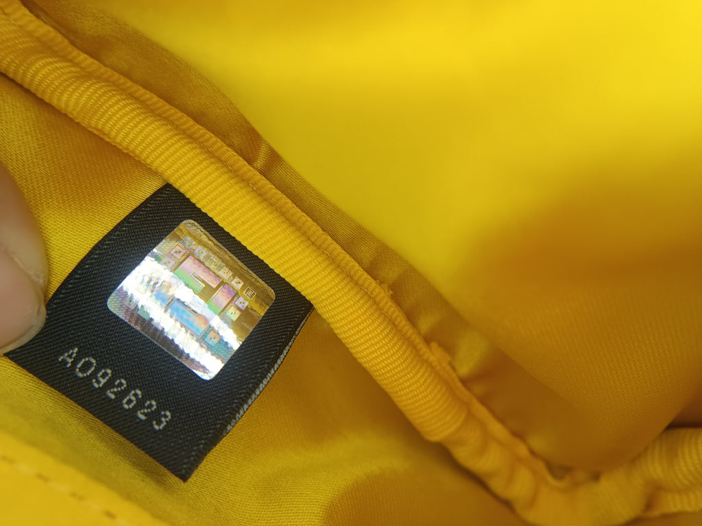 Dior Canvas Yellow
