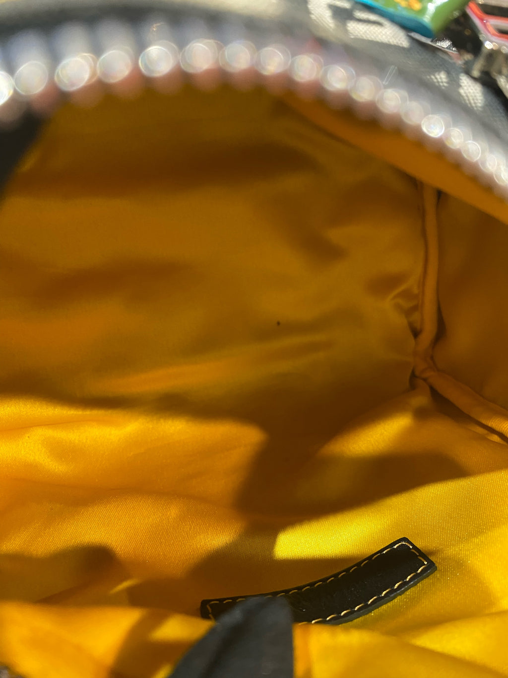Dior Canvas Yellow