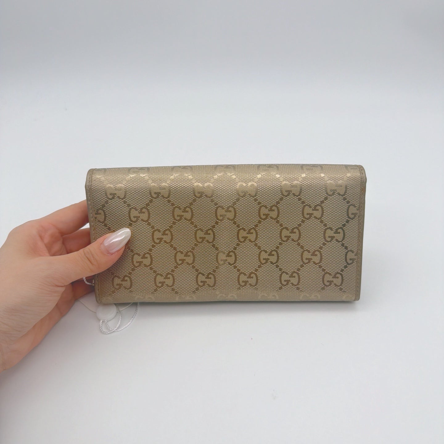 Gucci Canvas