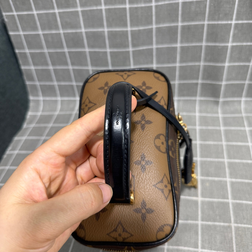 Louis Vuitton Canvas
