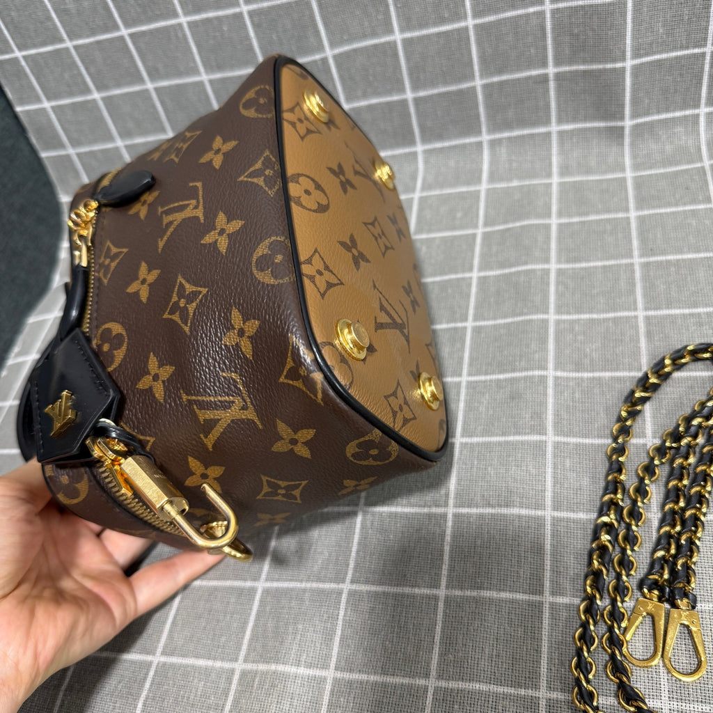 Louis Vuitton Canvas