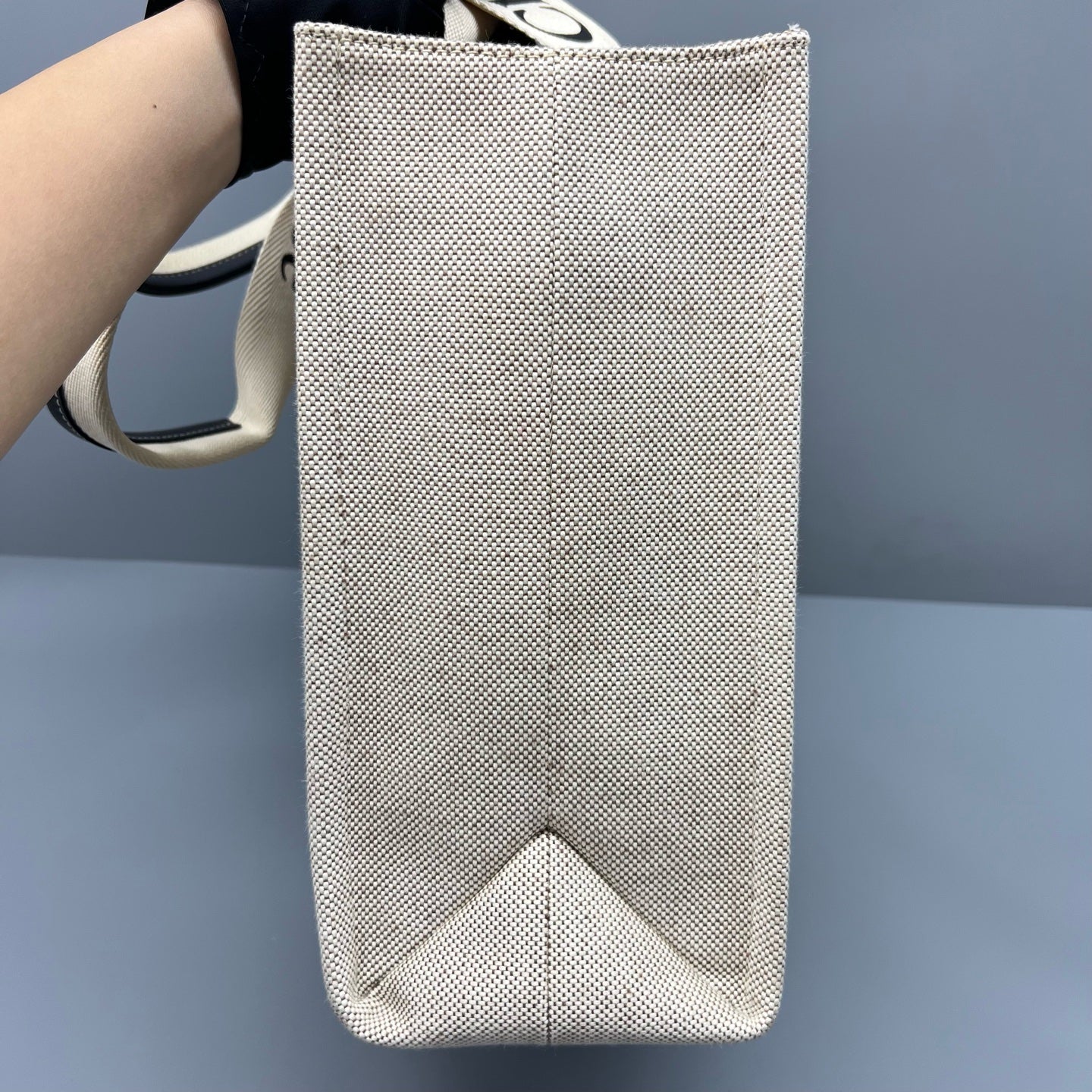 Chloe Canvas Beige Tote