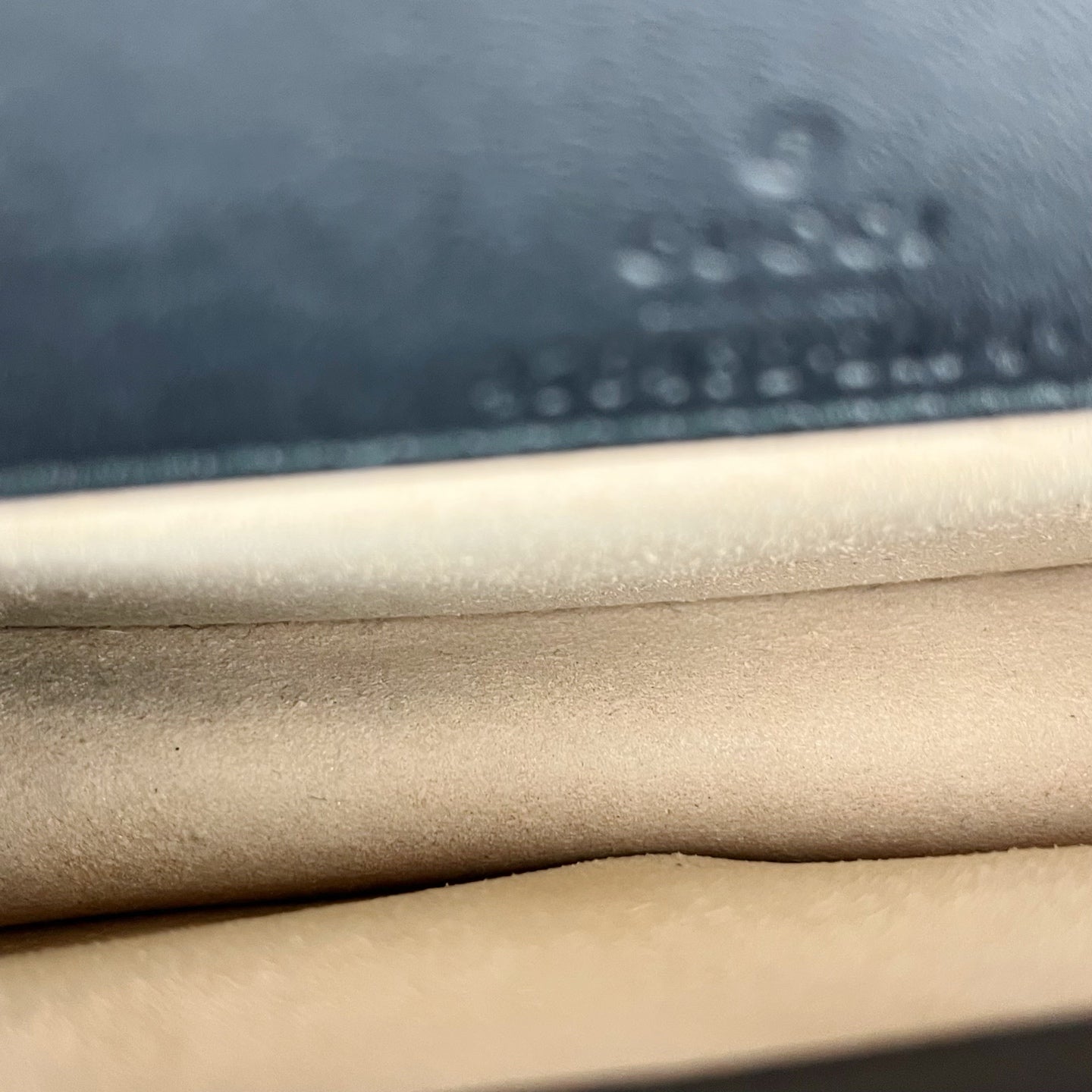 Gucci Velvet Black