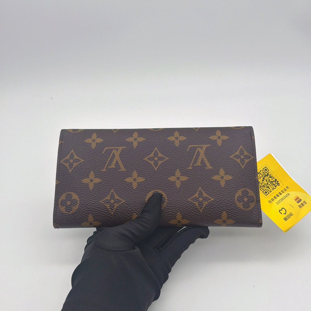 Louis Vuitton Canvas