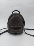 Louis Vuitton Backpack