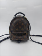 Louis Vuitton Backpack