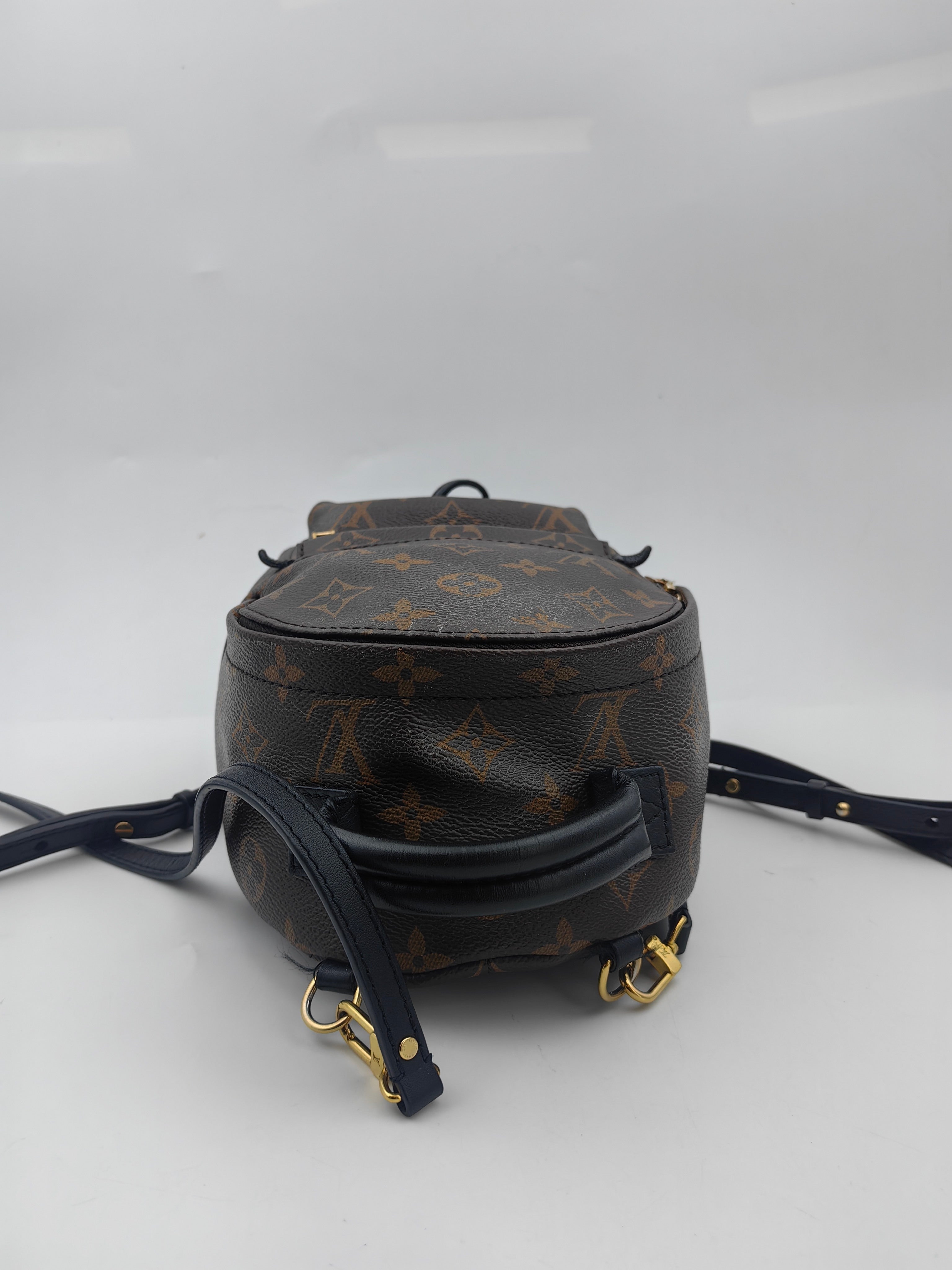 Louis Vuitton Backpack