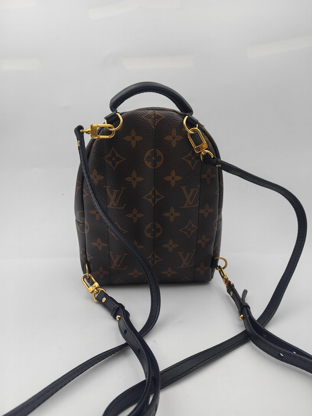 Louis Vuitton Backpack