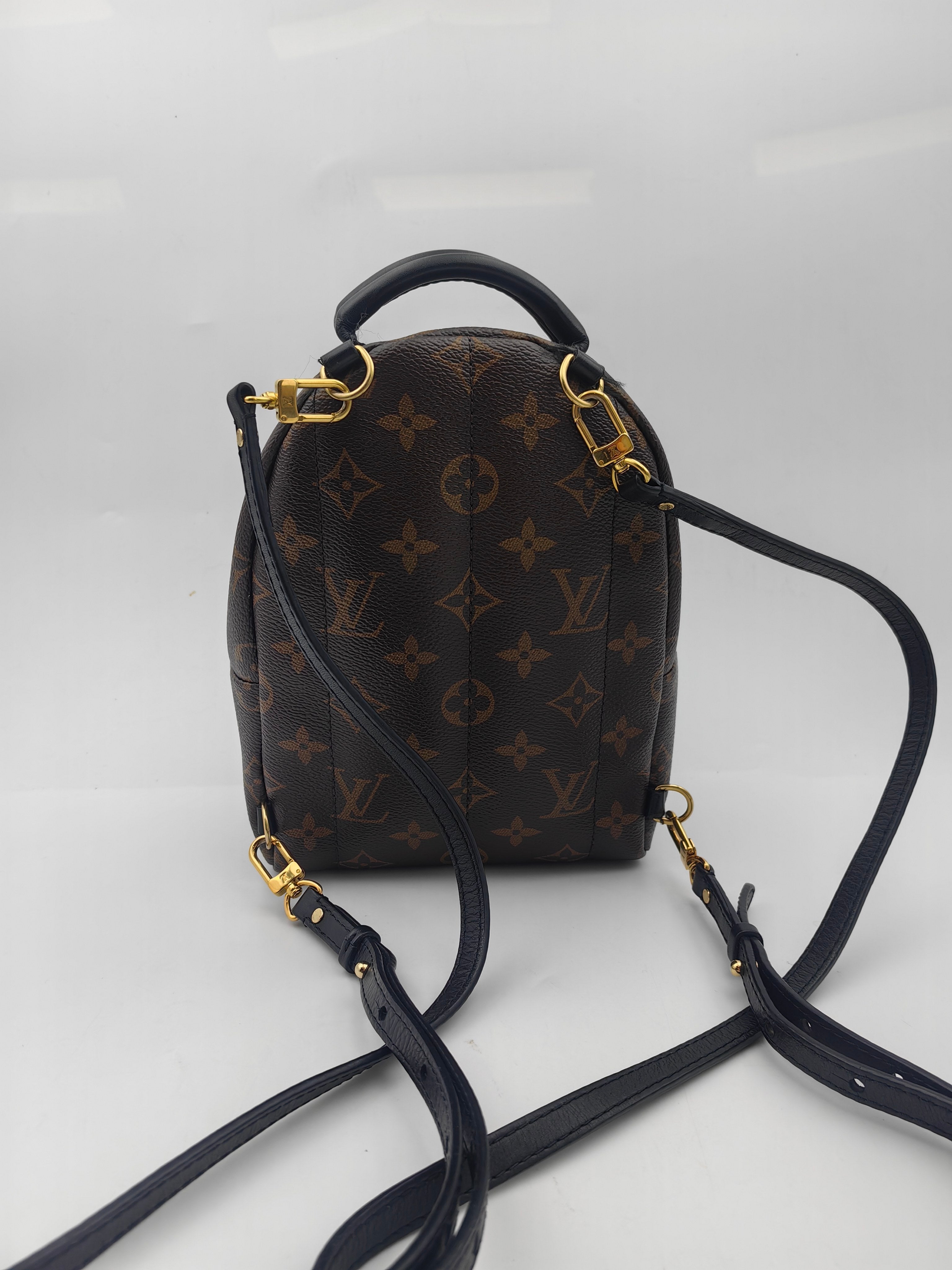 Louis Vuitton Backpack