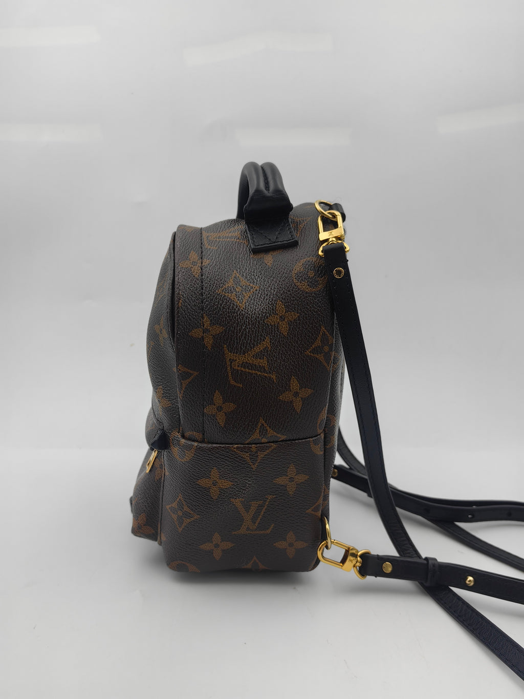 Louis Vuitton Backpack