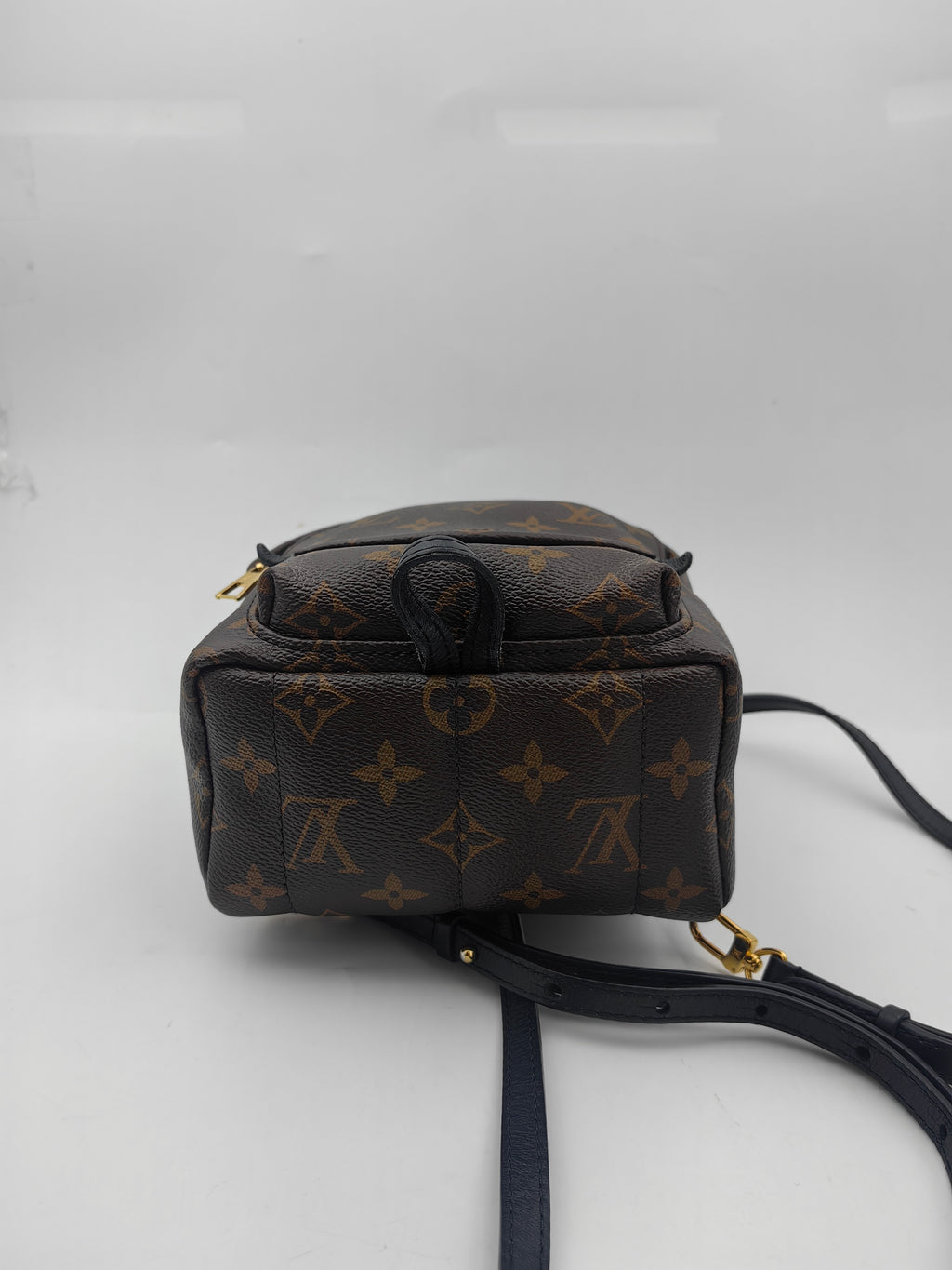 Louis Vuitton Backpack
